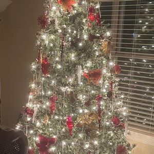 Meet your Posher, Brandi